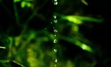 多褒赞和感悟丰富的汇集，精选表达雨水美妙和价值的名言佳句