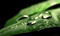 用于激励考生的高效高考成功名言和格言