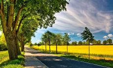 没有比家人更重要的人际关系：探讨亲情在生活中的重要性