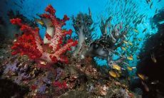 分享，让你绝对无法抗拒的抖音炫酷语录，超越你想象的朋友圈热度！