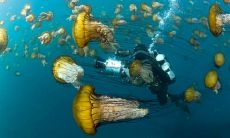 以发小之间的友情为主题的一系列表达方式