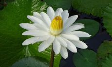 无限连结人心的美丽缘分：表达友情的唯美句子