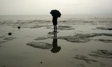 懊悔与坚韧心灵：鼓舞人心的励志格言