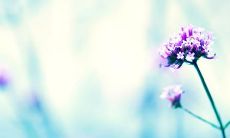 表达心情的英文句子：放弃友情也是一种必要的成长，让我感到心境愁苦