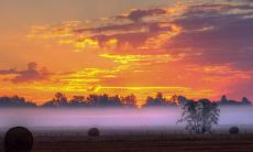 分享一些让自己更加开心的语句，让生活充满快乐和积极的能量
