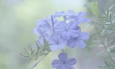 九年时光的见证——永恒不变的友情句子