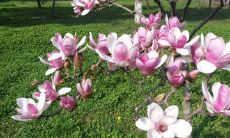 如何用美妙的句子来表达友情的深沉情感？