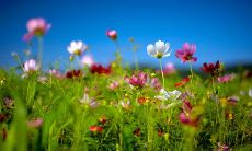 我的朋友们让我感到失望的话题，让我们来谈一谈