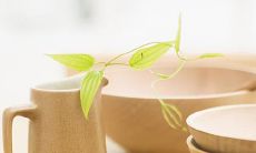 畅游水上乐园的快乐经历——带你感受我销魂的心境和沁人心脾的回忆！