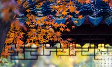 欢快畅游，尽享人生——开怀畅游时的心情赞叹