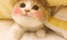 22句女性撒娇卖萌的必备句型，让你的表达更加迷人动人！