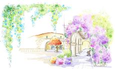 精心描写人物内心情感的开心语句，让读者充分感受到生活的美好