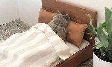 一些有趣的语句和幽默笑话，用来让您的朋友感到愉悦和愉快