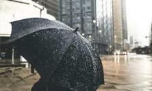 分享一些表达对情感生活深感失望的描述，借以反映内心感受