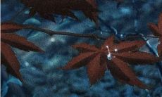 磁性十足、高度唤醒共鸣：拥有心动引力的卓越文案奥义