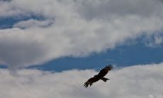 取得成功的励志座右铭：不断努力，永不放弃