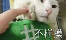 探索最受欢迎、备受追捧的搞笑文案短句：一系列让人捧腹大笑、深入人心的精品创意语句！