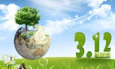 国际植树节相关谚语和格言，寓意深刻、传承美德的植树文化，为推动生态文明建设作出贡献