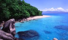 放弃友情，因为深陷于爱情的句子言辞