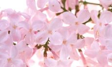 改写后的标题：精选恋爱文案集合——略带浪漫的短文，温暖你的内心