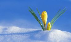 探秘抖音上让人感动的暖心友情句子，这些简短的话语将温暖你的心灵