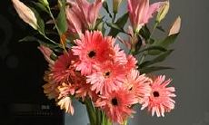 如何用一句长长的话来表达我们感到开心的情绪？