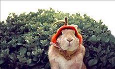 一些能够逗乐小妮并让她开心的有趣语句