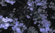 反思：女性眼中最具内疚感的男性情感语言是什么？