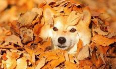 用语巧妙的长句子大全，哄男人开心的技巧和实用方法，让你成为温柔贤惠的女神！