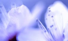 欢迎2022年开工大吉，让我们在朋友圈畅所欲言，分享愉快的工作生活！