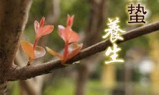 分享惊蛰节气中的简短祝福语和问候语来寄托心意和快乐祝福