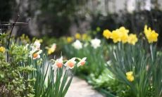 单句之中一个最令人欣喜的事件