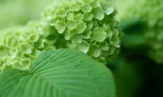 收集，感动“正能量”爆棚的亲情语句，经典至极！