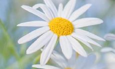 让你的爱人感到幸福的表述句子集合