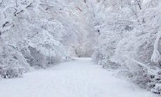 一份温暖的情人节早晨问候短信：如何让你的爱人感受到你的关爱和重视？