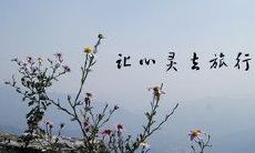 不要再因为错过了某些事情而遗憾一生，而是积极去追寻生命中的美好时刻