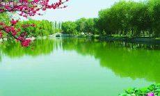 共同合作中产生的友情及其鼓舞人心的表达方式