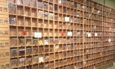 五一节期间发送给客服团队的问候短信，表达感恩之情并向他们致以节日祝福