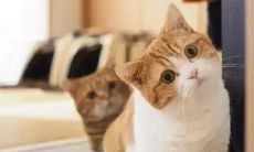 一些充满赞美和真情的句子，可以用来表达对好友的认可和赞扬