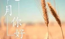 精选的唯美句子，向九月问好啦！