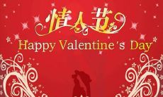 一份浪漫至极的情人节礼物：为你的对象创作的专属句子，让你的爱永不褪色！