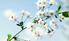 畅谈亲情感悟——揭示内心情感的句子分享