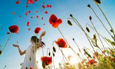 有关亲情的感人至深的短语，让人感受到家庭的温暖和重要性