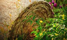 感恩父母之恩，抒发亲情的温暖句子