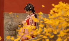 只要他开心，我就心满意足 —— 让人感动的真情表白