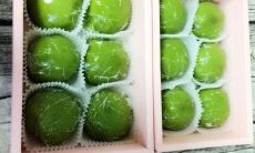 如何用简单的句子让自己变得快乐和满意，为自己的幸福和成功创造条件？