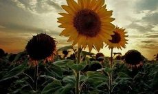 共筑亲情，用关爱之歌唤起牵手情深的真情与深情