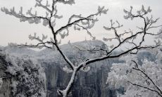 激烈的暴风雪肆虐，厚厚的白雪纷纷扬扬地飞舞着