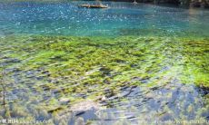 亲情，这道坚不可摧的人生后盾，被支配着背后的支持，滋养着我们的成长与坚韧!