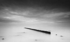 如何在幼儿园创造深厚友情的秘诀：分享、关心和包容的句子